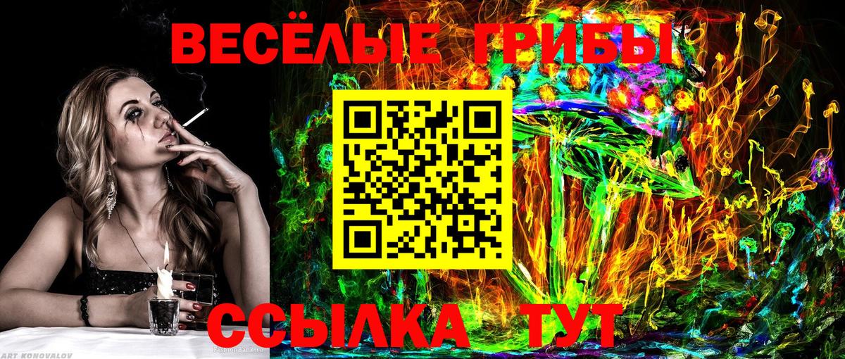 Красноярск  Галлюциногенные грибы Magic Shrooms  Вход с VPN 